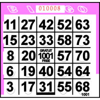 Pink Pushout Bingo Cards (500 ct)